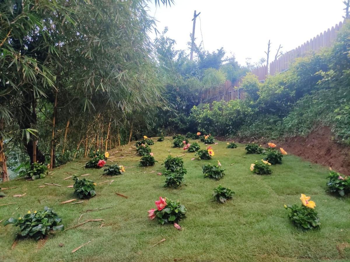 فندق Misty Rain Estate ماديكيري المظهر الخارجي الصورة