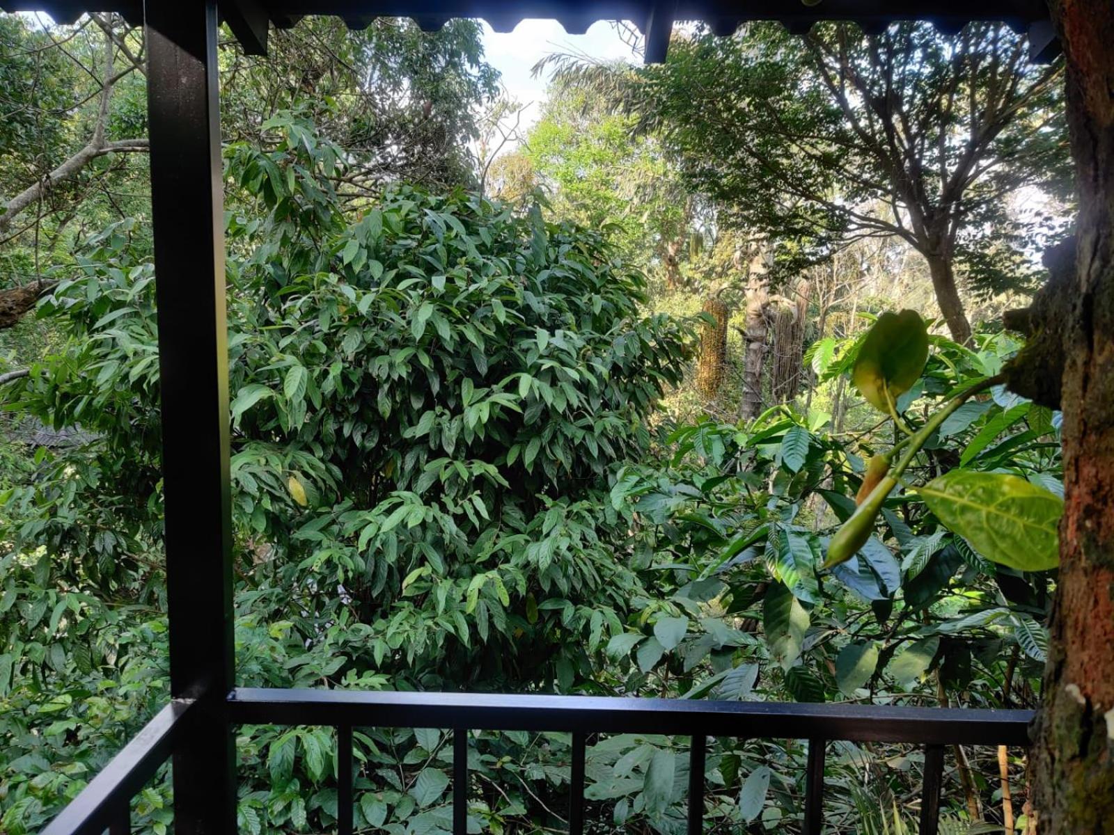 فندق Misty Rain Estate ماديكيري المظهر الخارجي الصورة